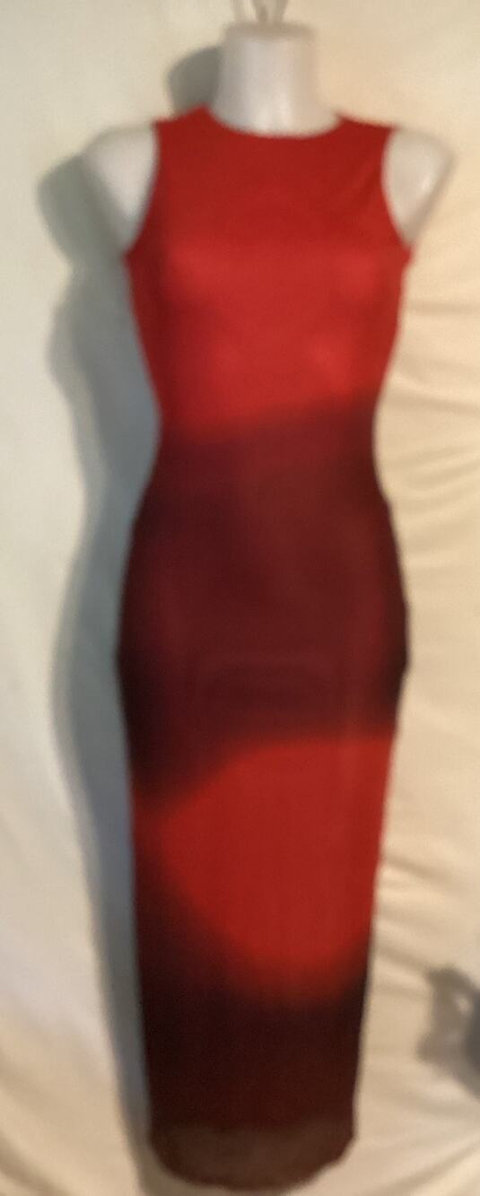 5023 NWOT Rare London Sleeveless Mesh Blur Maxi Dress in Red Size Extra Small/2